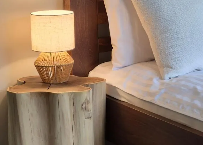 Mio Apartament Zakopane Kościelisko Stok Narciarski 600m Polana Szymoszkowa